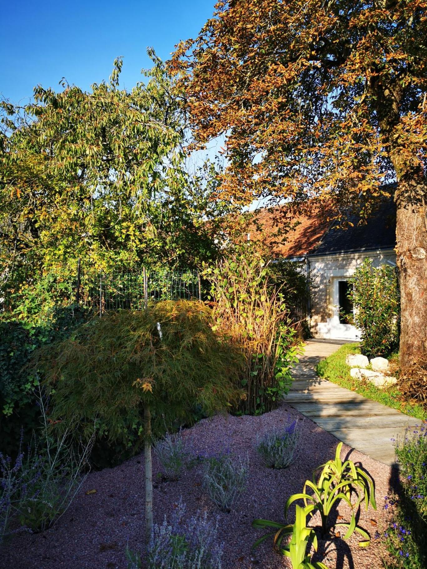 La Jacquiere Chaumont-sur-Loire Exterior foto